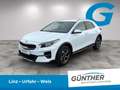 Kia XCeed Silber 1.5 TGDI Weiß - thumbnail 1