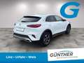 Kia XCeed Silber 1.5 TGDI Weiß - thumbnail 3