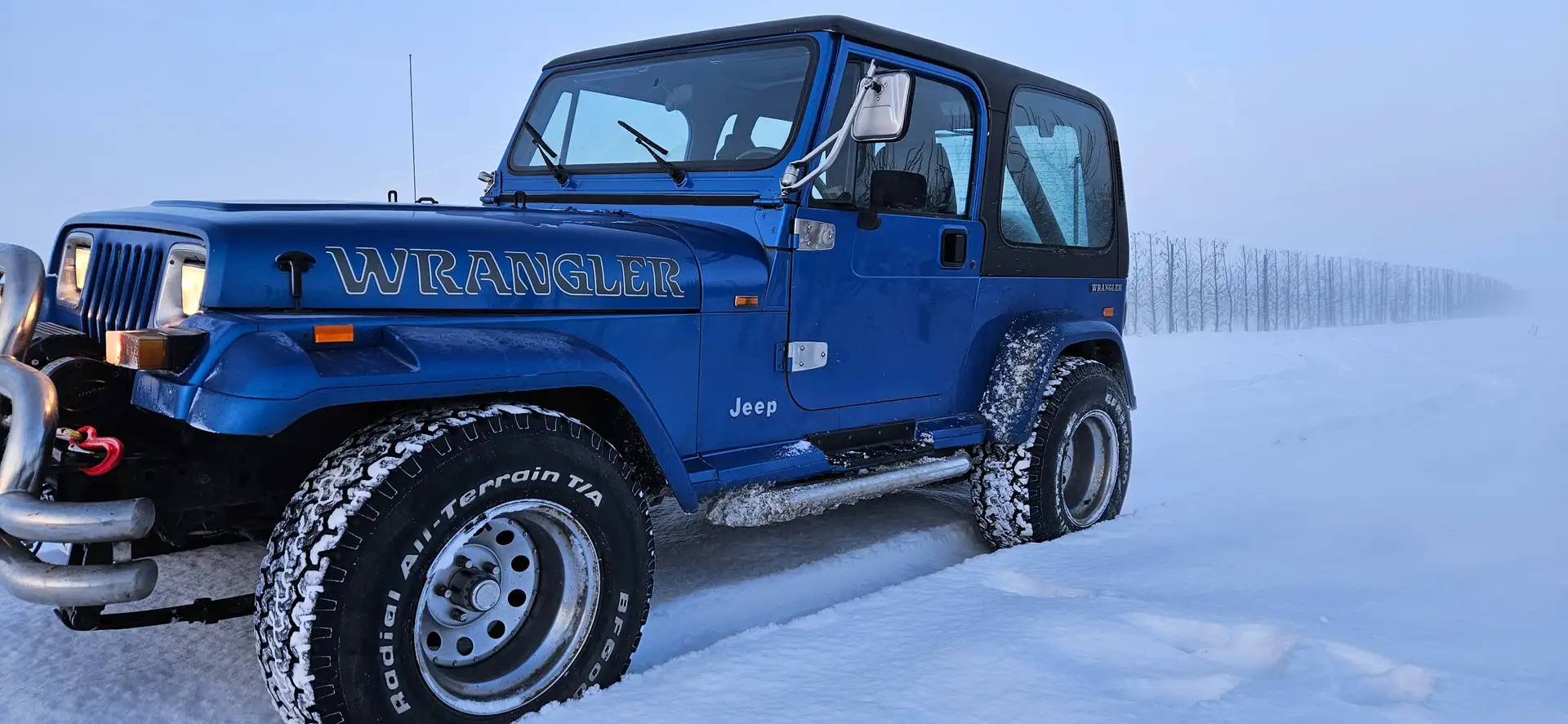 Jeep Wrangler Wrangler 4.0 Azul - 1