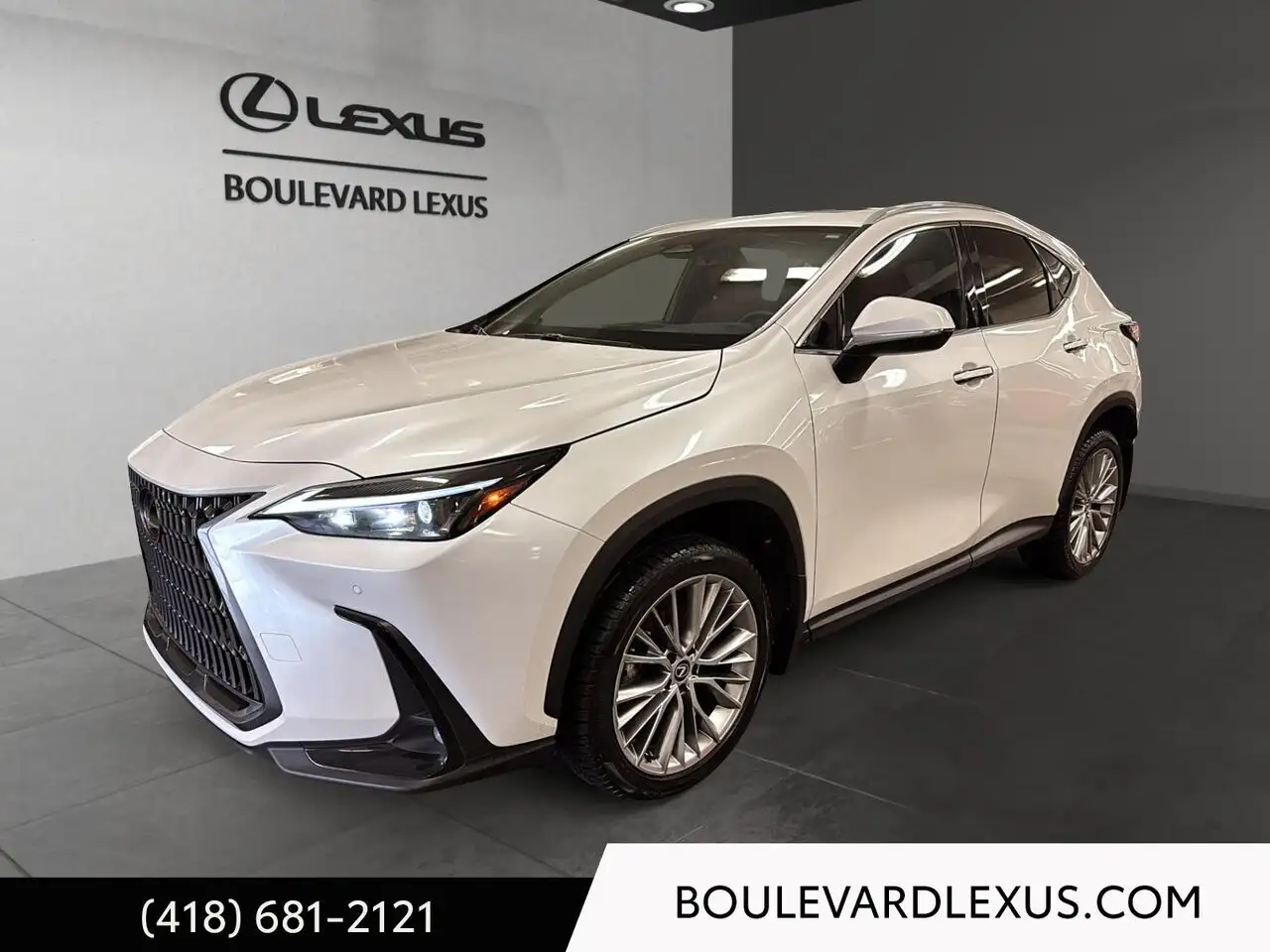 2024 Lexus NX