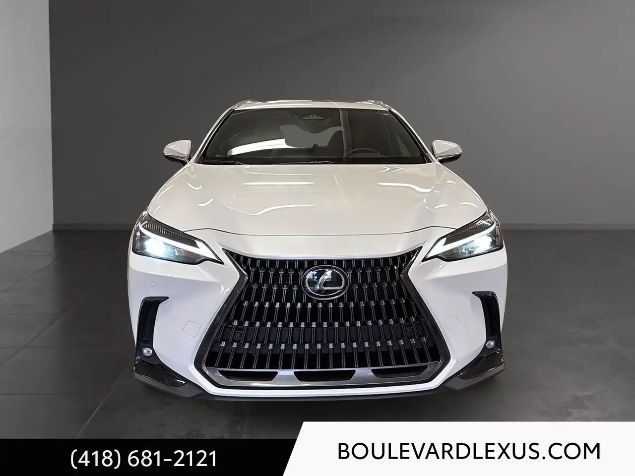 Lexus NX снимка Lexus NX