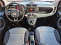 Fiat Panda Panda 1.2 GPL Easy s&s 69cv my19 Grigio - thumbnail 6