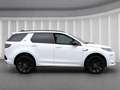 Land Rover Discovery Sport R-Dynamic AWD D200*7Sit Panodach Blanc - thumbnail 3