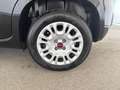 Fiat Panda 1.2 69cv S&S E6d-Temp Easy Nero - thumbnail 7