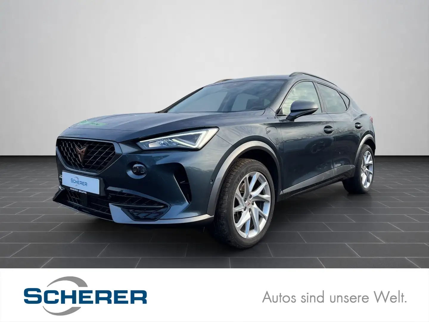 CUPRA Formentor 1.4 e-HYBRID SHZ CARPLAY LED PDC Grau - 1