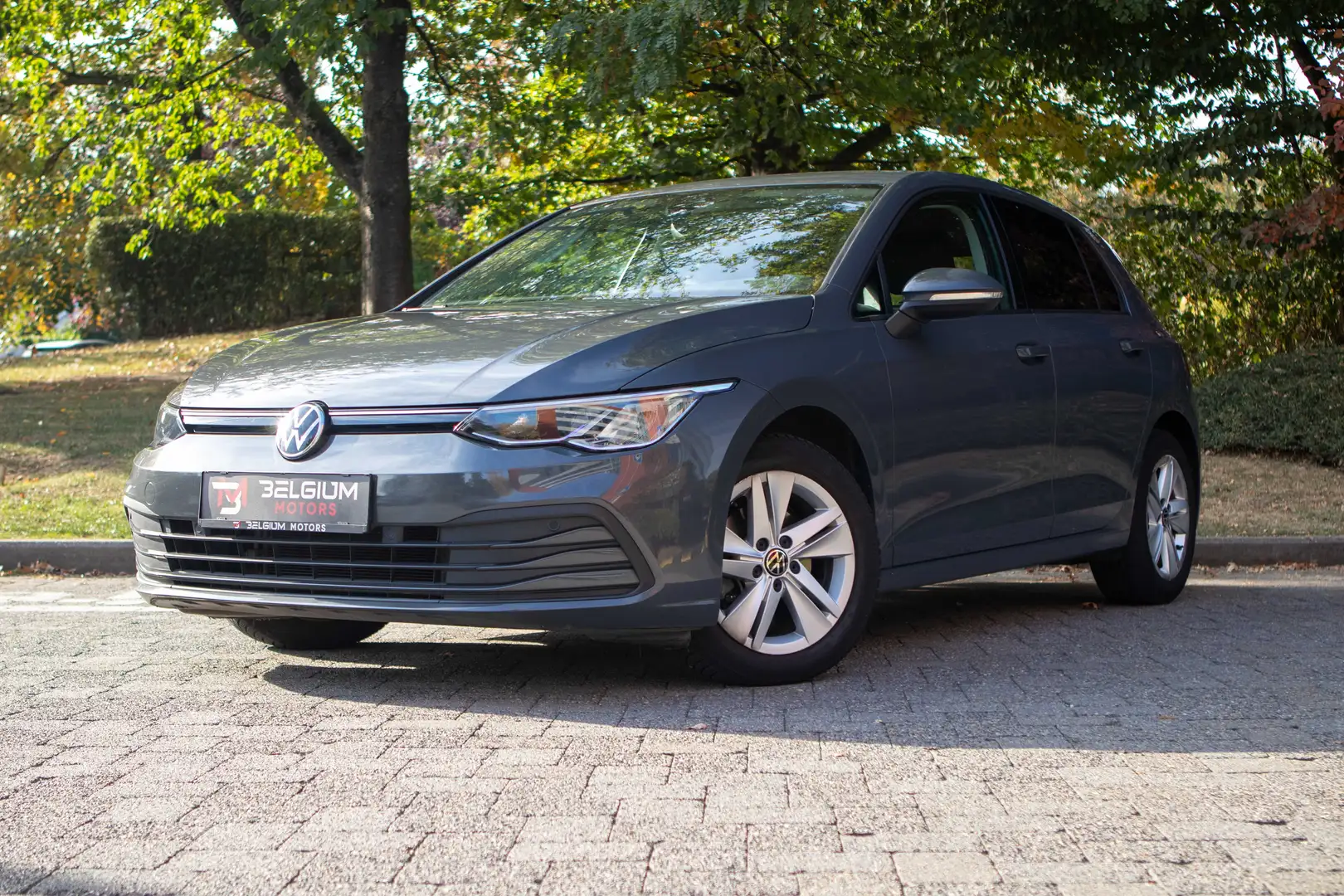 Volkswagen Golf - 1.0 eTSI - Life DSG - Carplay - LED - ACC Gris - 1
