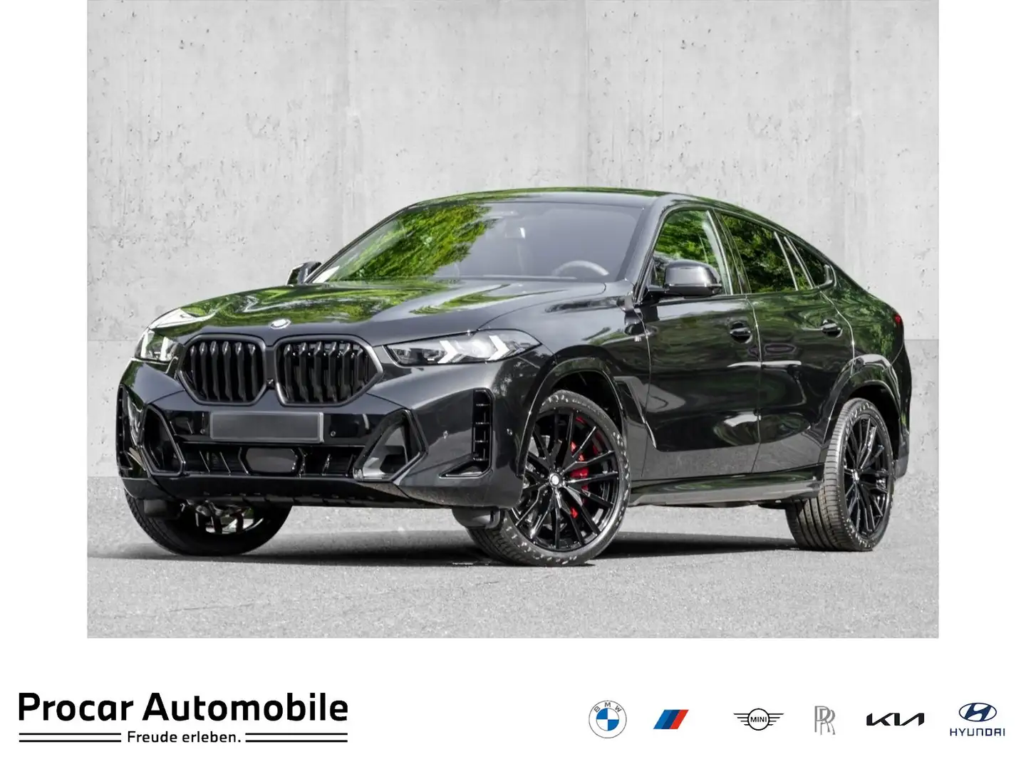 BMW X6 xDrive40d M Sport PANO HuD AHK H/K DA Prof PA Prof Noir - 1