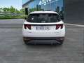 Hyundai TUCSON 1.6 TGDI 169kW (230CV) HEV Maxx Auto Blanco - thumbnail 5