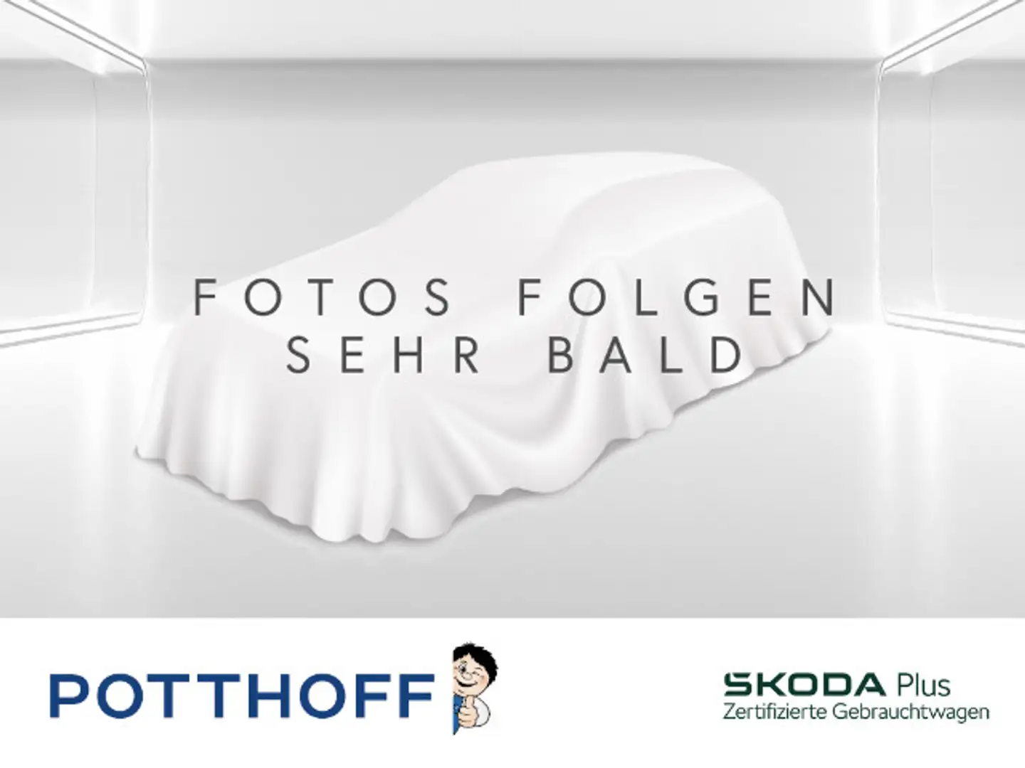 Skoda Karoq 1.5 TSI SELECTION KAMERA LED PDC KLIMA Grau - 1