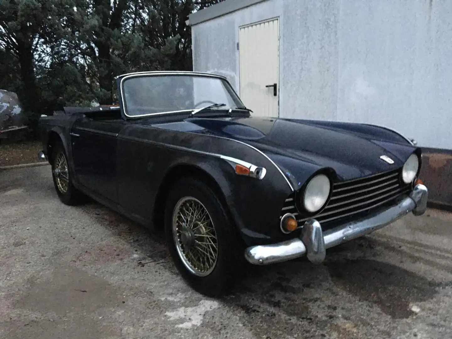 Triumph TR5 PI Bleu - 2