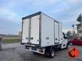 Opel Movano 2.3 CDTI FRIGO FRCX -20°ATP 07/2027 PORTA LATERAL Bianco - thumbnail 7