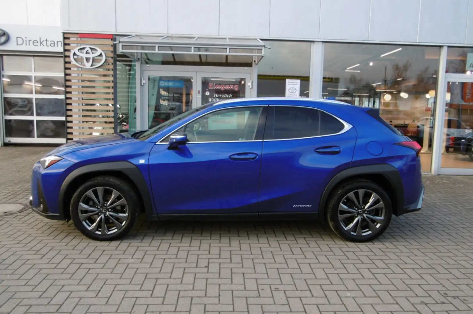 Lexus Blau - 2