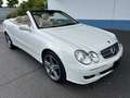 Mercedes-Benz CLK 350 CLK 350 Cabriolet Wit - thumbnail 8