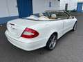 Mercedes-Benz CLK 350 CLK 350 Cabriolet Wit - thumbnail 6
