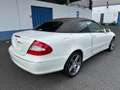 Mercedes-Benz CLK 350 CLK 350 Cabriolet Wit - thumbnail 5