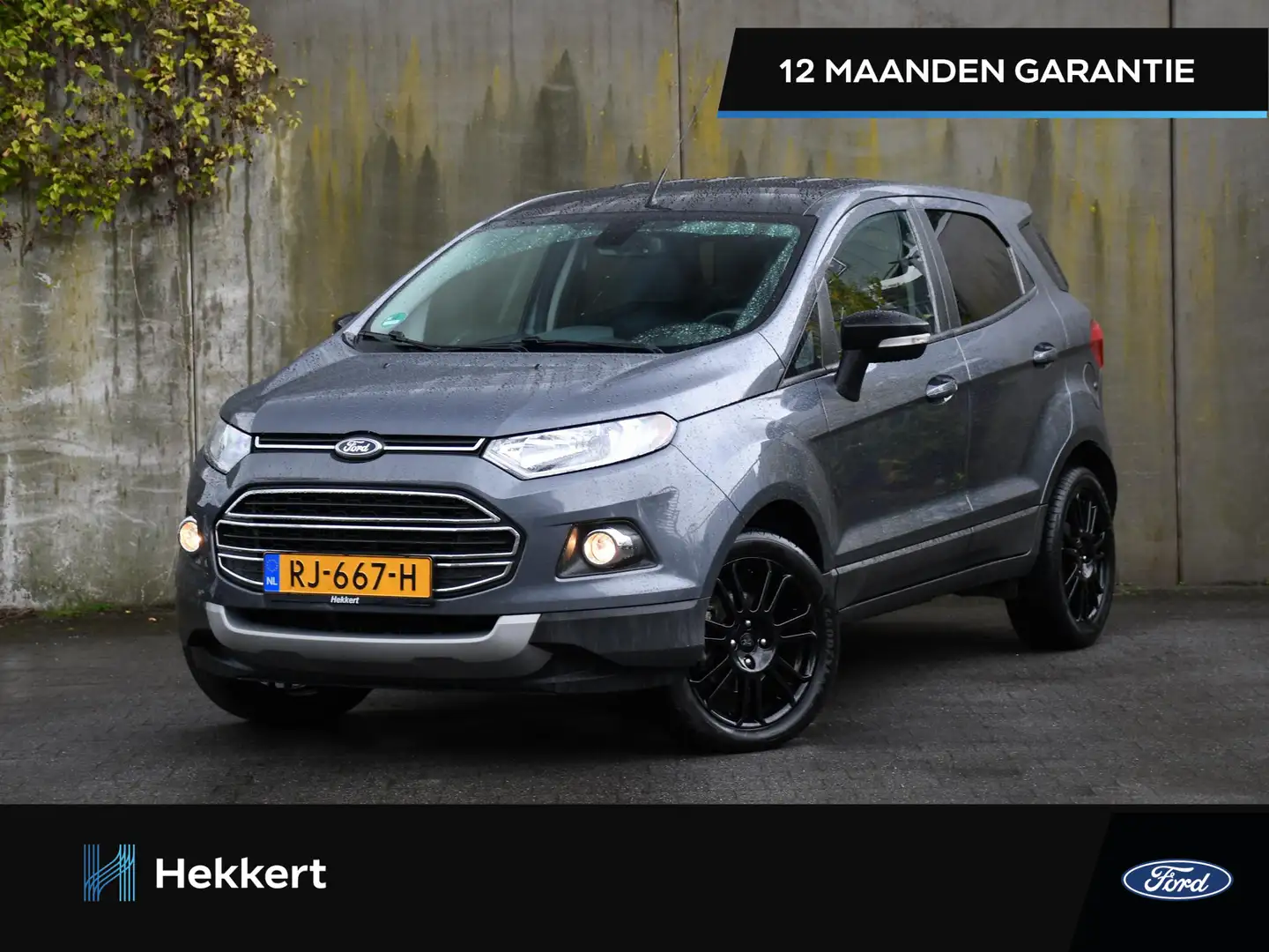 Ford EcoSport Titanium S 1.0 EcoBoost 125PK PDC ACHTER | CRUISE. Gris - 1