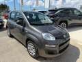 Fiat Panda Panda III 2021 1.0 firefly hybrid s Grigio - thumbnail 1