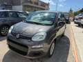 Fiat Panda Panda III 2021 1.0 firefly hybrid s Grigio - thumbnail 3