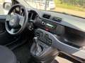 Fiat Panda Panda III 2021 1.0 firefly hybrid s Grigio - thumbnail 6