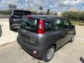 Fiat Panda Panda III 2021 1.0 firefly hybrid s Grigio - thumbnail 5