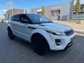 Land Rover Range Rover Evoque 2.2 SD4 4WD Prestige Weiß - thumbnail 3