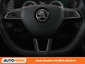 Skoda Karoq 2.0 TDI Style 4x4 Grau - thumbnail 19