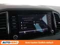 Skoda Karoq 2.0 TDI Style 4x4 Grau - thumbnail 23