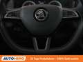 Skoda Karoq 2.0 TDI Style 4x4 Grau - thumbnail 19