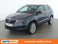 Skoda Karoq 2.0 TDI Style 4x4 Grau - thumbnail 1