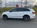 Audi Q7 Q7 3.0 TDI DPF clean diesel quattro tiptronic Alb - thumbnail 5