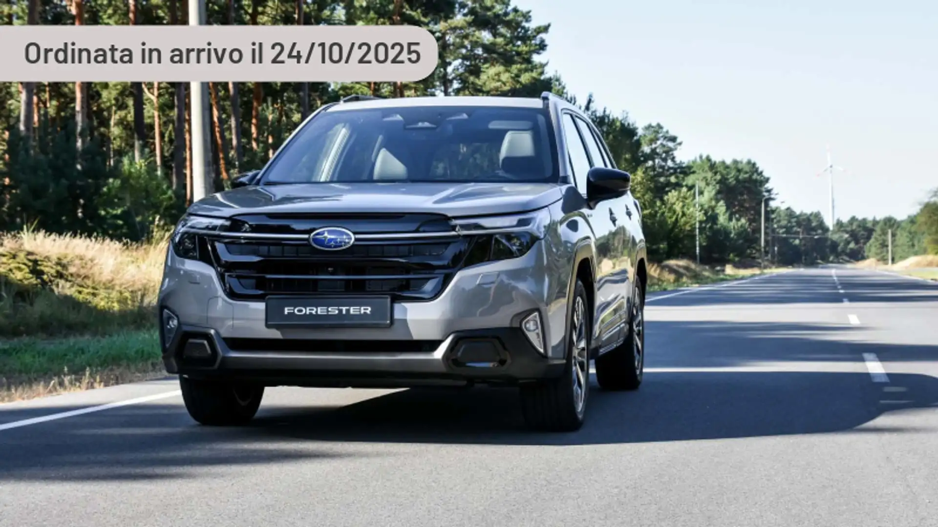 Subaru Forester 2.0 MHEV CVT Lineartronic Free Argento - 2