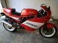 Ducati 900 SS 900 SS Supersport Rood - thumbnail 2