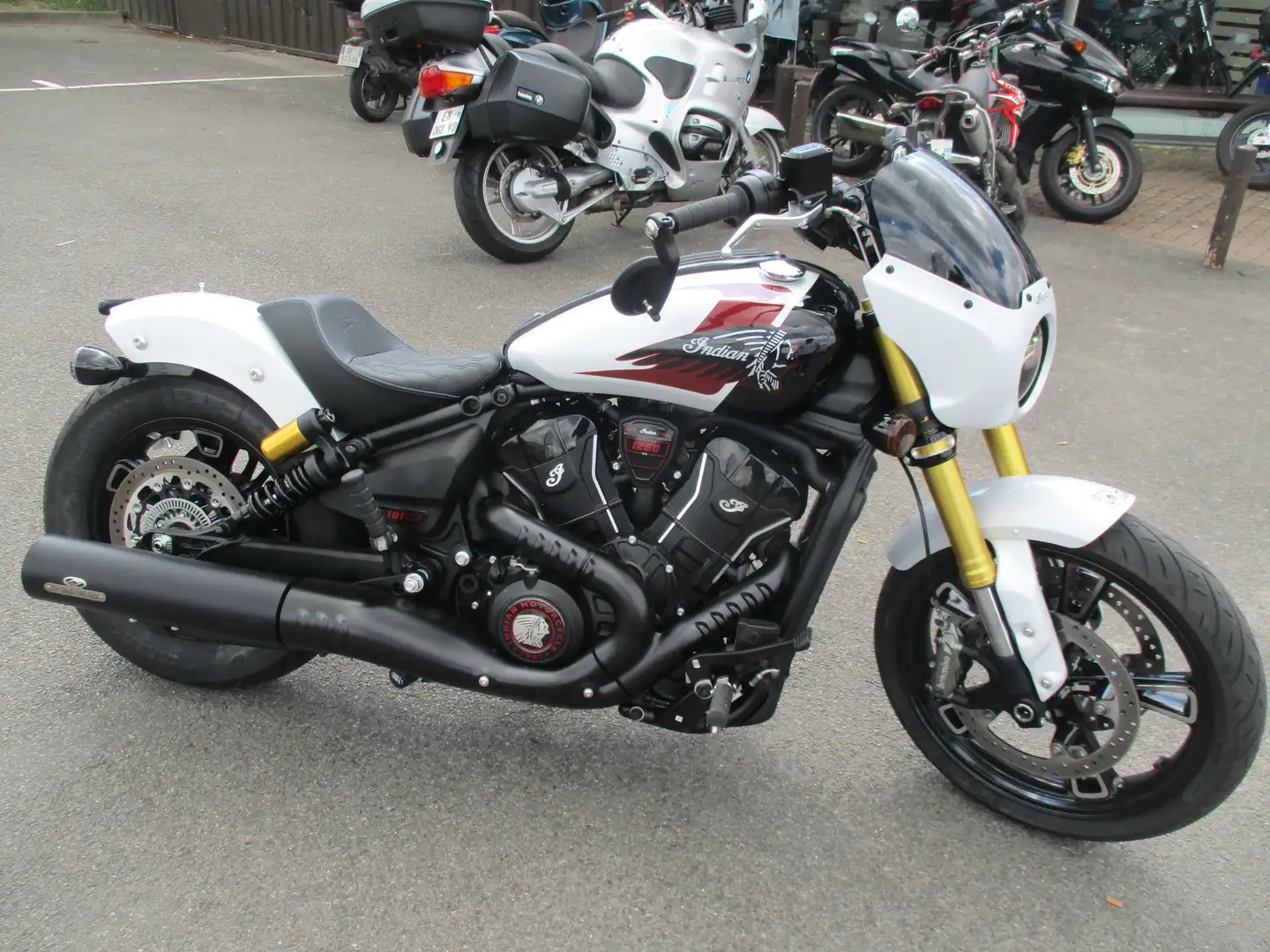 Indian Scout Blanc - 2