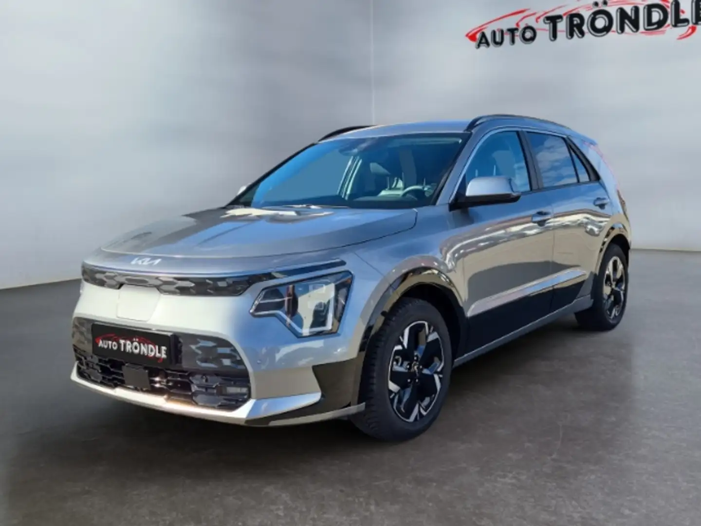 Kia Niro 64,8 Inspiration +el. Heckklappe +Kamera Grau - 1