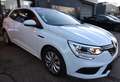 Renault Megane Mégane 1.5 BLUEDCI 95 CH BUSINESS Blanc - thumbnail 20