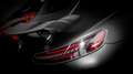 Mercedes-Benz AMG GT GT-R Zwart - thumbnail 22