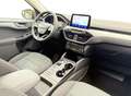 Ford Kuga 2.5 PHEV Trend I Trekhaak I Carplay I Keyless Gris - thumbnail 3