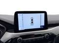 Ford Kuga 2.5 PHEV Trend I Trekhaak I Carplay I Keyless Gris - thumbnail 18