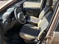 Fiat Panda 1.2 Climbing Natural Power OK NEOPATENTATO Grau - thumbnail 5