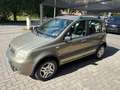 Fiat Panda 1.2 Climbing Natural Power OK NEOPATENTATO Grau - thumbnail 1