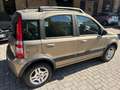 Fiat Panda 1.2 Climbing Natural Power OK NEOPATENTATO Grau - thumbnail 3