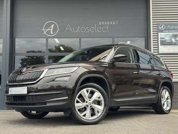 2.0 TSI 4x4 Style Business Carplay | Trekhaak