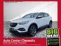 Opel Grandland 1.6 AT8 Hybrid Edition LED/Navi/Kamera Alb - thumbnail 1