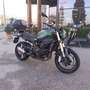 Benelli Leoncino 800 - thumbnail 8
