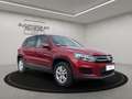Volkswagen Tiguan 1.4 TSI-Kolben Steuerkette gewechselt-Scheckheft Rot - thumbnail 3
