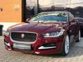 Jaguar XE R-Sport PANO/MERIDIAN/CAM/SHZ Rouge - thumbnail 6