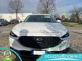 Mazda CX-30 CX-30 2.0 m-hybrid Exec Appearance Pack 150cv 6at Bianco - thumbnail 8