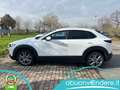 Mazda CX-30 CX-30 2.0 m-hybrid Exec Appearance Pack 150cv 6at Bianco - thumbnail 2