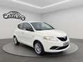 Lancia Ypsilon 1.2 69 CV 5p. Platinum NAVI PELLE Bronzo - thumbnail 8