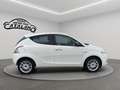Lancia Ypsilon 1.2 69 CV 5p. Platinum NAVI PELLE Bronzo - thumbnail 6